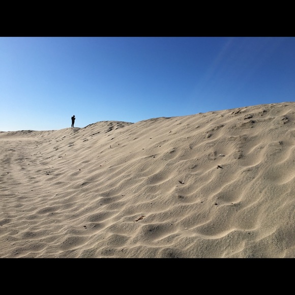 Meet your Posher, Joyce - Picture 1 of 1